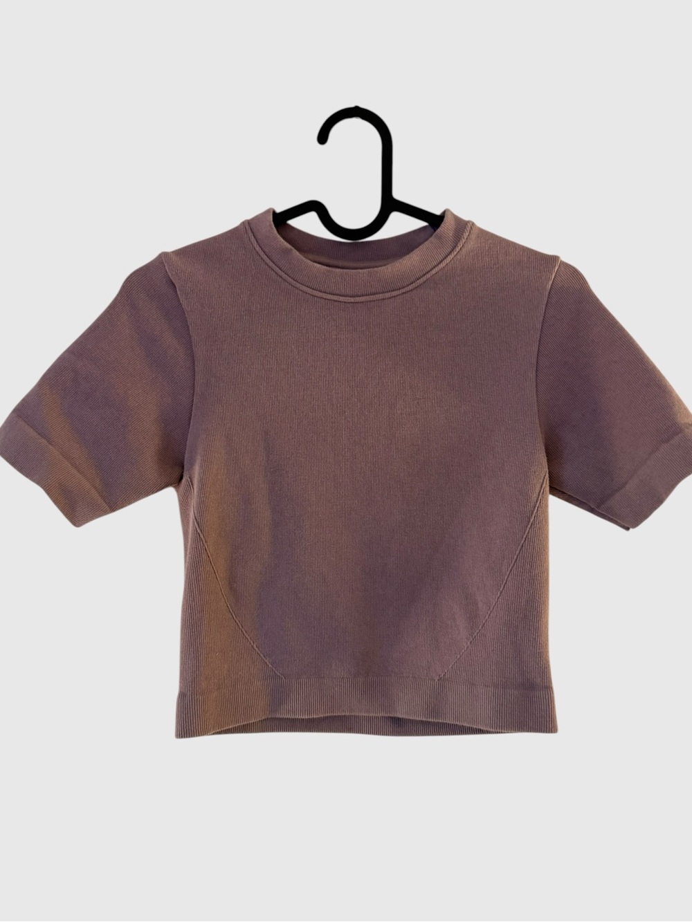 Everlane Ribbed Seamless Short Sleeve Crop Top in Dusty Mauve Plum - Size XS/S